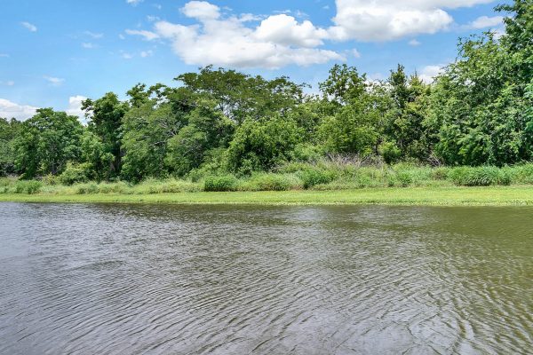 14826-Tullamore-Loop-Winter-Garden-FL-34787-35-Backyard-600x400