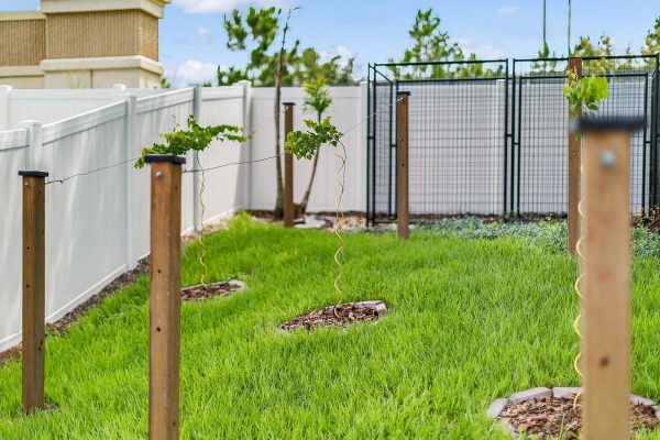 2989-Park-Meadow-Dr-Apopka-FL-32703-24-Backyard-600x400