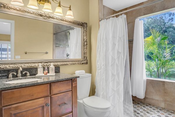 633-Remington-Oak-Dr-Lake-Mary-FL-32746-18-Master-Bathroom-600x400