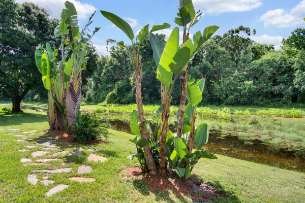 633-Remington-Oak-Dr-Lake-Mary-FL-32746-24-Backyard-600x400