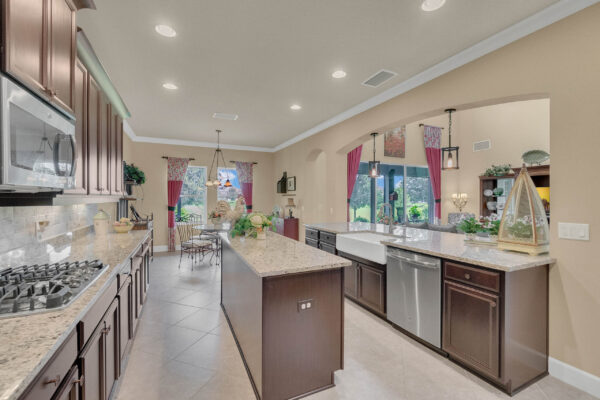 15473 Sandfield Loop, Winter Garden, FL 34787 Aerial