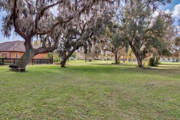 4615-claire-rose-court-mount-dora-fl-32757-61-scaled-600x400